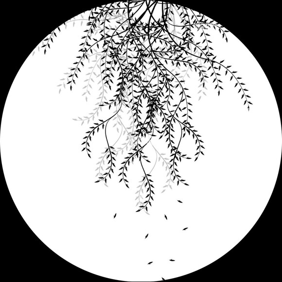 willowtree47